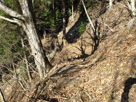 20161206hike (140)